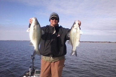 2013 Hybrid Stripers